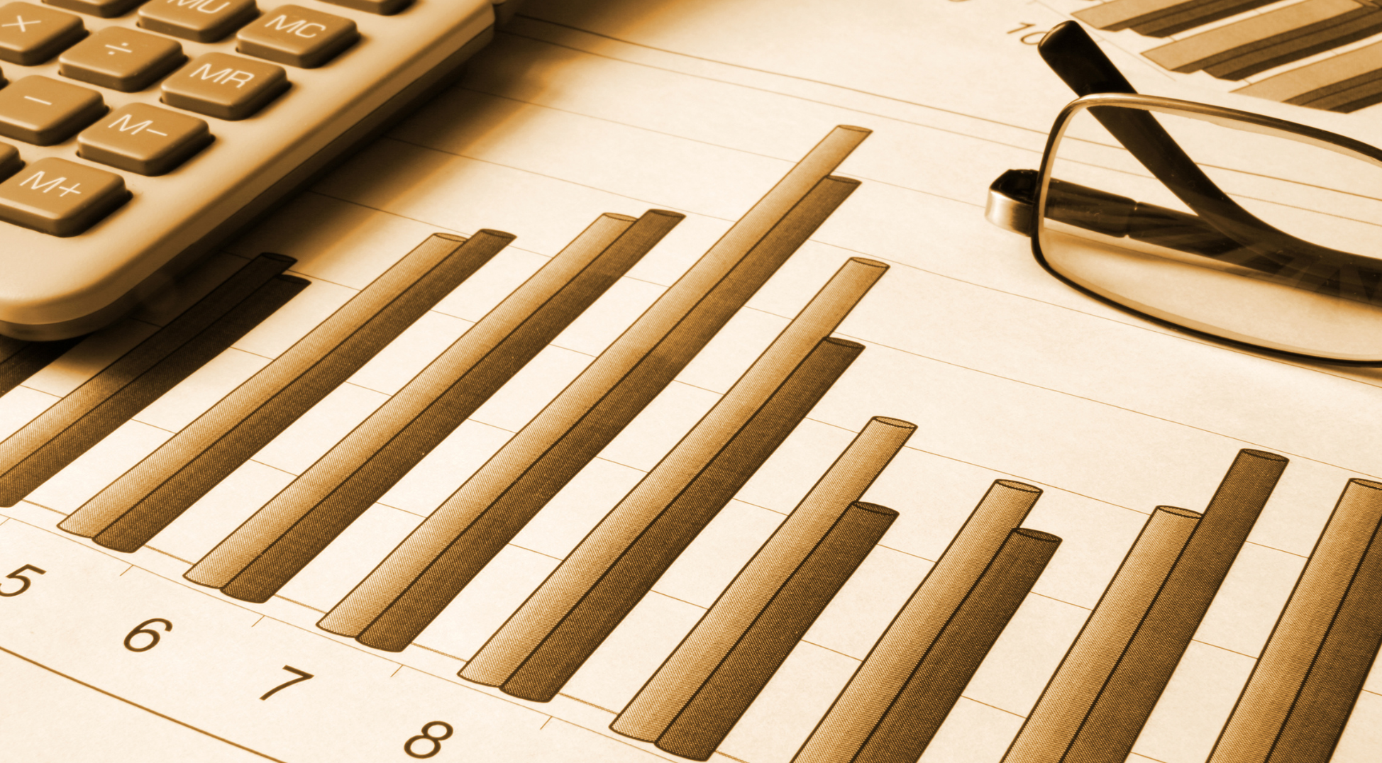 Datafoxi 2025 majandusaasta – efektiivsem ja kasumlikum